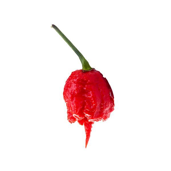 (Dummy Ad) – Carolina Reaper chillies